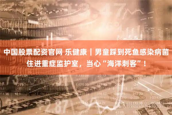 中国股票配资官网 乐健康|男童踩到死鱼感染病菌住进重症监护室,当心“海洋刺客”!