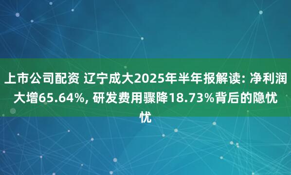 上市公司配资 辽宁成大2025年半年报解读: 净利润大增65.64%, 研发费用骤降18.73%背后的隐忧