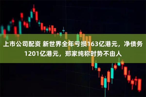 上市公司配资 新世界全年亏损163亿港元，净债务1201亿港元，郑家纯称时势不由人