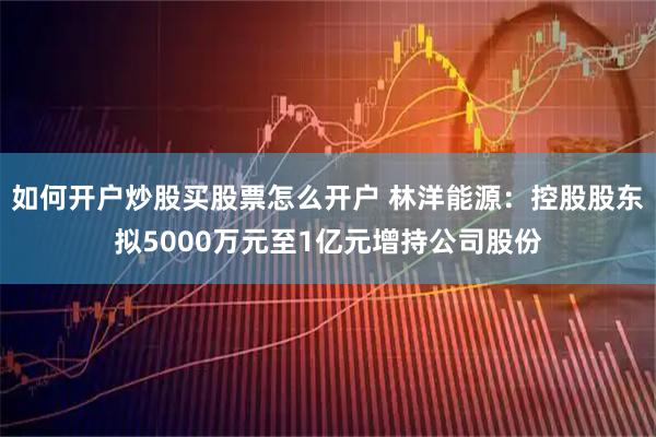 如何开户炒股买股票怎么开户 林洋能源：控股股东拟5000万元至1亿元增持公司股份