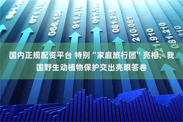 国内正规配资平台 特别“家庭旅行团”亮相，我国野生动植物保护交出亮眼答卷